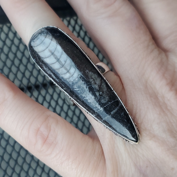 New Oversized Orthoceras Fossil 925 Silver Statement Ring. - Picture 15 of 16